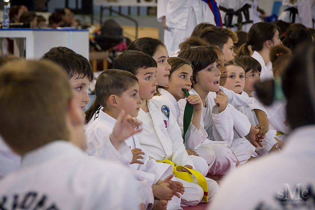 DIA DEL TAEKWONDO ABRIL 2017_3788.JPG